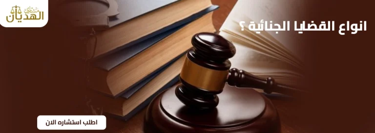 أمثلة على القضايا الجنائية