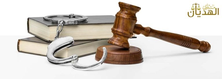 الحماية الجنائية